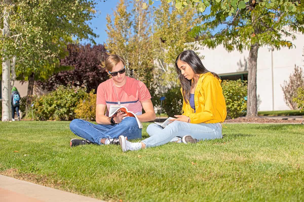 学生们一起在草地上放松读书